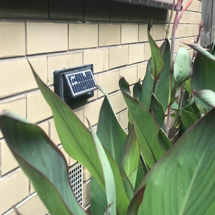 Solar Step Lights