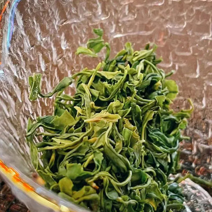 Mao Jian Green Tea 5 x 120g