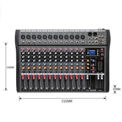 Hridz 12 Channel Mixing Console Live Studio Audio DJ Mixer Sound Board USB Interface